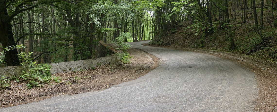 desbroce de carreteras